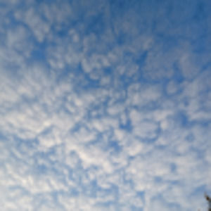 Meet your Posher, Jade